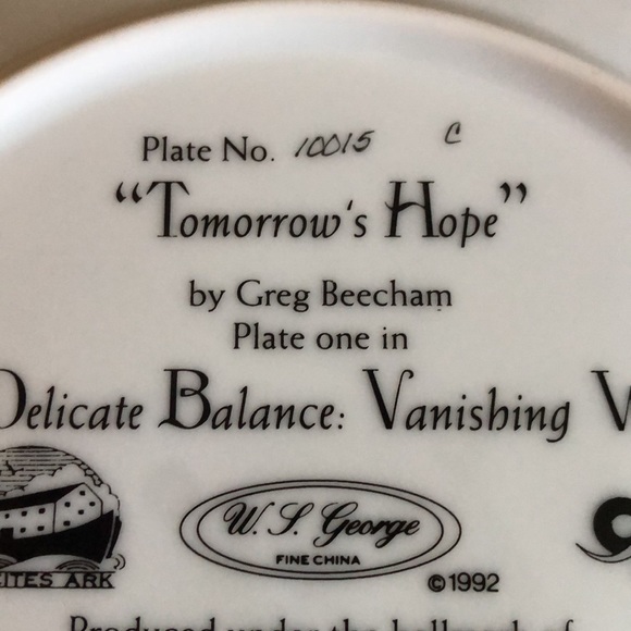 “Tomorrow’s Hope” Tiger Collectible - Picture 3 of 5